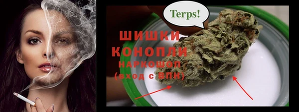 спайс Баксан