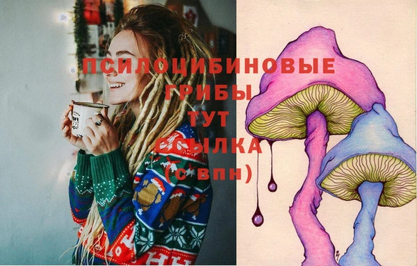 спайс Баксан