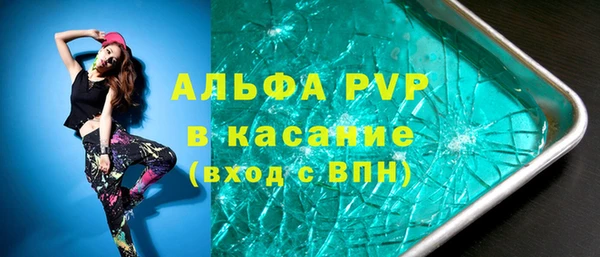 PSILOCYBIN Балахна